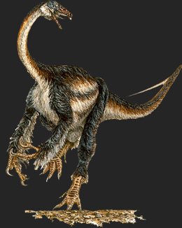 Dinosauro Erbivoro